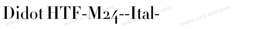 Didot HTF-M24--Ital字体转换